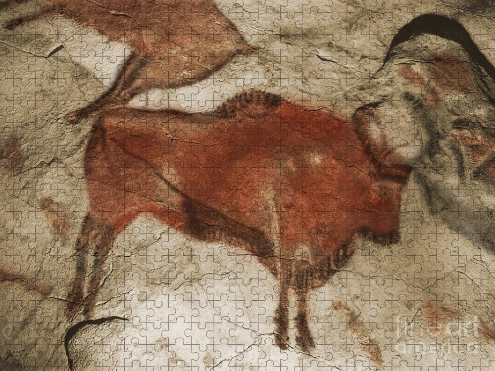 Cave Painting Jigsaw Puzzle featuring the photograph Altamira Cave Paintings #4 by Photo Researchers