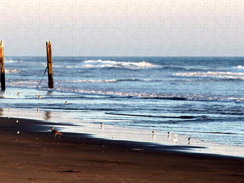 Beach Jigsaw Puzzle featuring the photograph Beach Fence #2 by Henrik Lehnerer