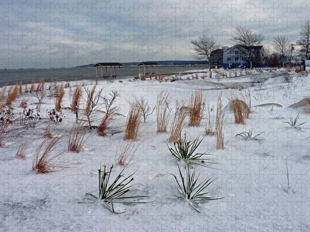Beach Grass Jigsaw Puzzle featuring the photograph Blowing in the wind by Janice Drew