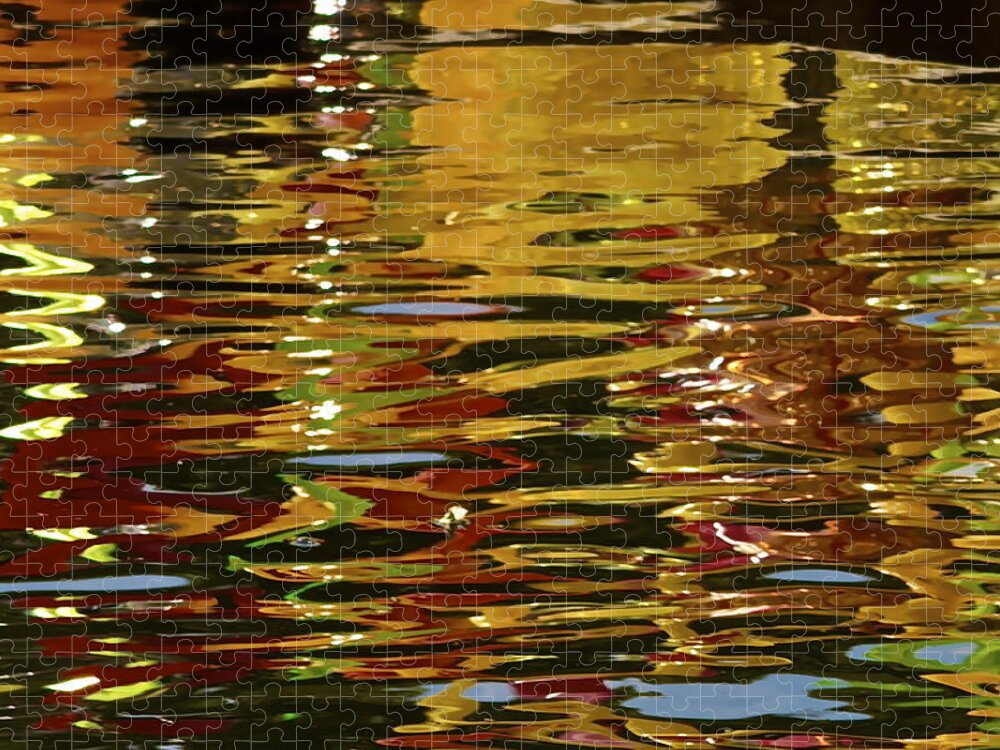 Reflections Jigsaw Puzzle featuring the photograph Chihuly Reflections III #2 by John Babis