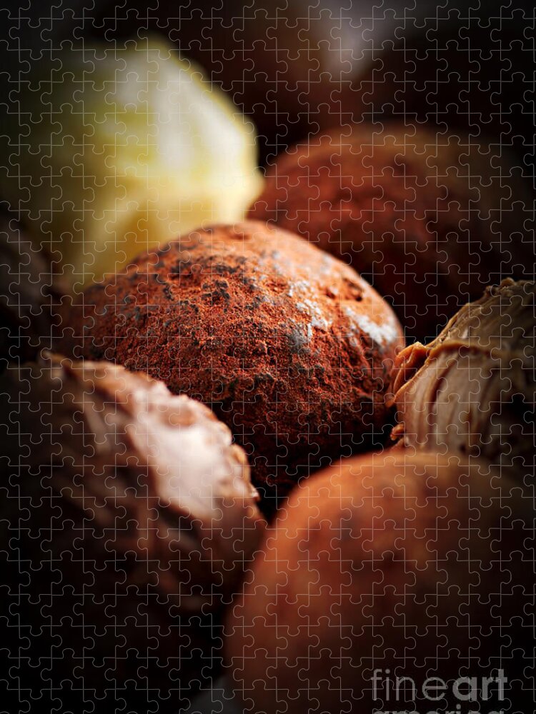 Chocolate Jigsaw Puzzle featuring the photograph Chocolate truffles 3 by Elena Elisseeva
