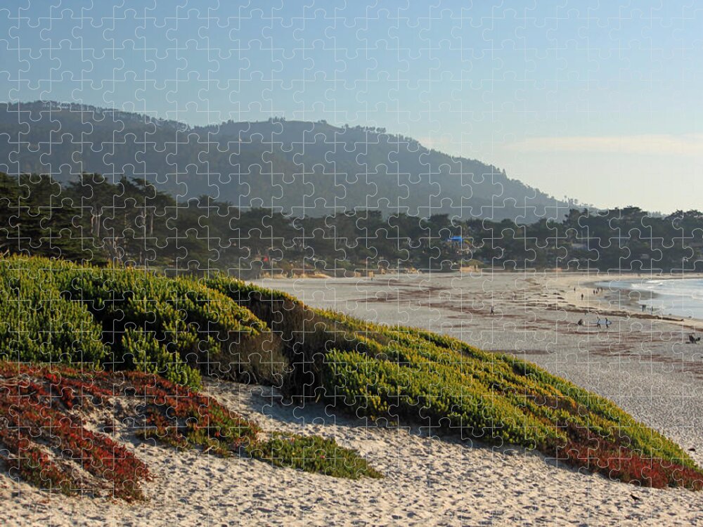 Coast Jigsaw Puzzle featuring the photograph Coastal View - Ice Plant #2 by Suzanne Gaff
