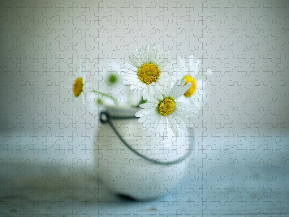Daisy Jigsaw Puzzle featuring the photograph Daisy Flowers #2 by Nailia Schwarz