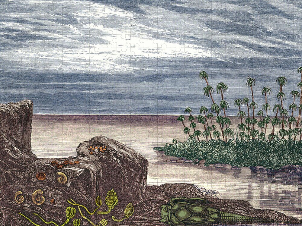 Devonian Period Jigsaw Puzzle featuring the photograph Devonian Period #2 by Science Source