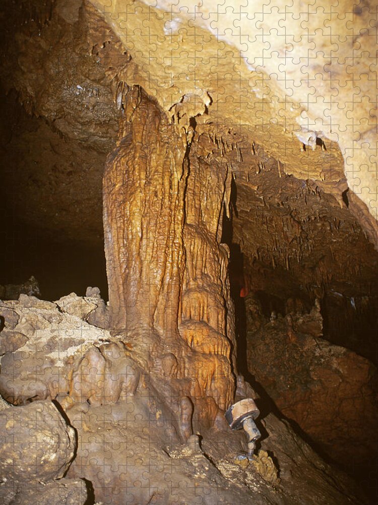 Florida Caverns State Park Jigsaw Puzzle featuring the photograph Florida Caverns State Park #2 by Millard H. Sharp