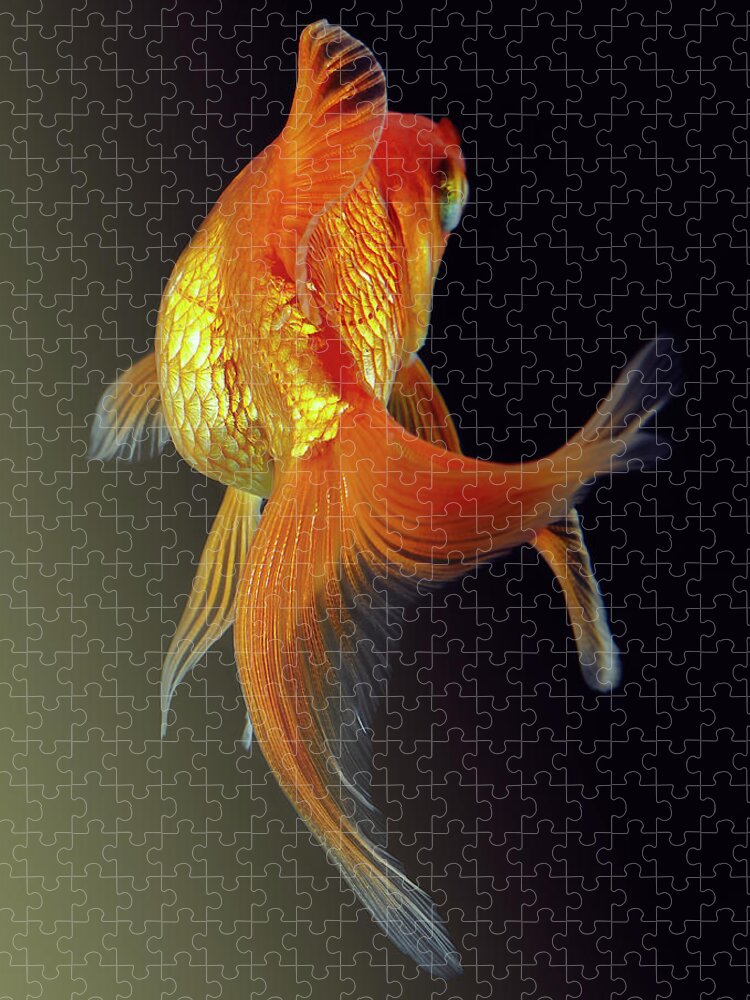 Animal Themes Jigsaw Puzzle featuring the photograph Goldfish #2 by Mark Mawson