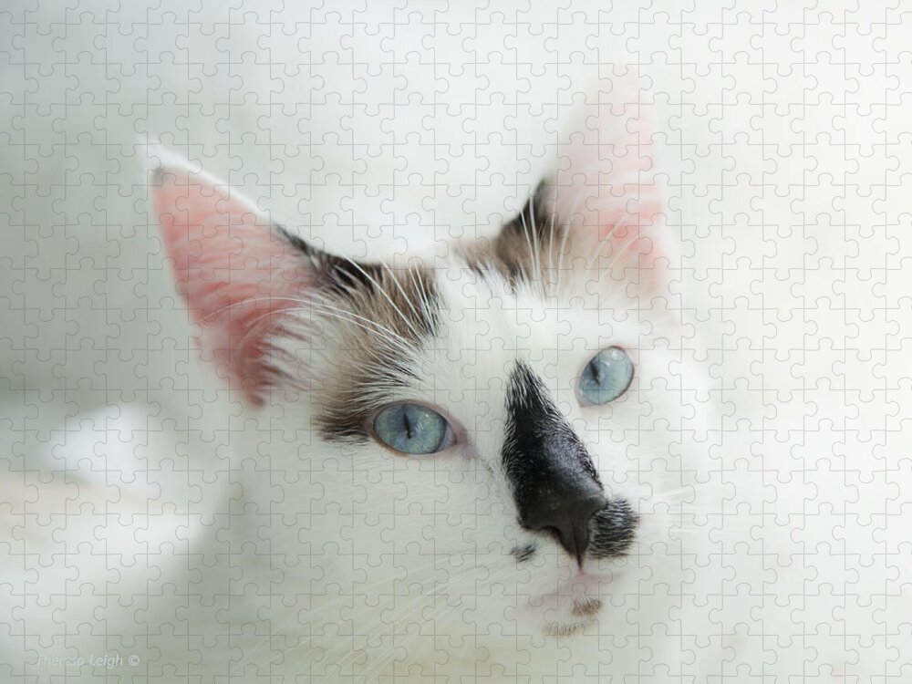 Domestic Cat Jigsaw Puzzle featuring the photograph Hamish by Theresa Tahara
