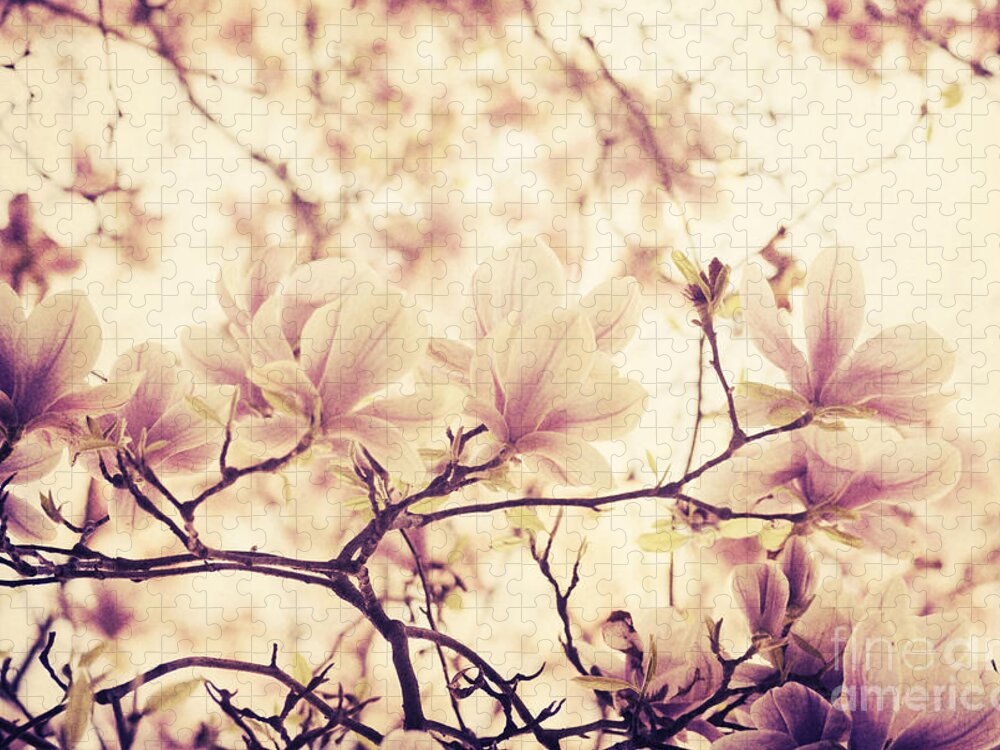 Magnolia Jigsaw Puzzle featuring the photograph Magnolia in Spring. Retro filter by Jelena Jovanovic