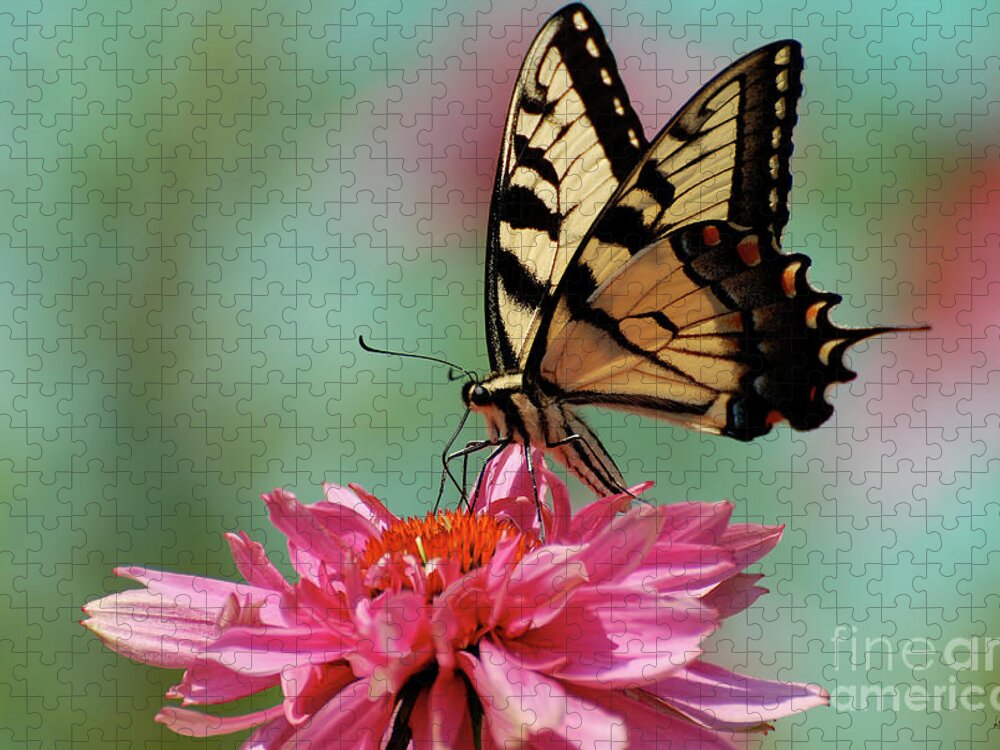 Butterfly Jigsaw Puzzle featuring the photograph Pastel by Lois Bryan