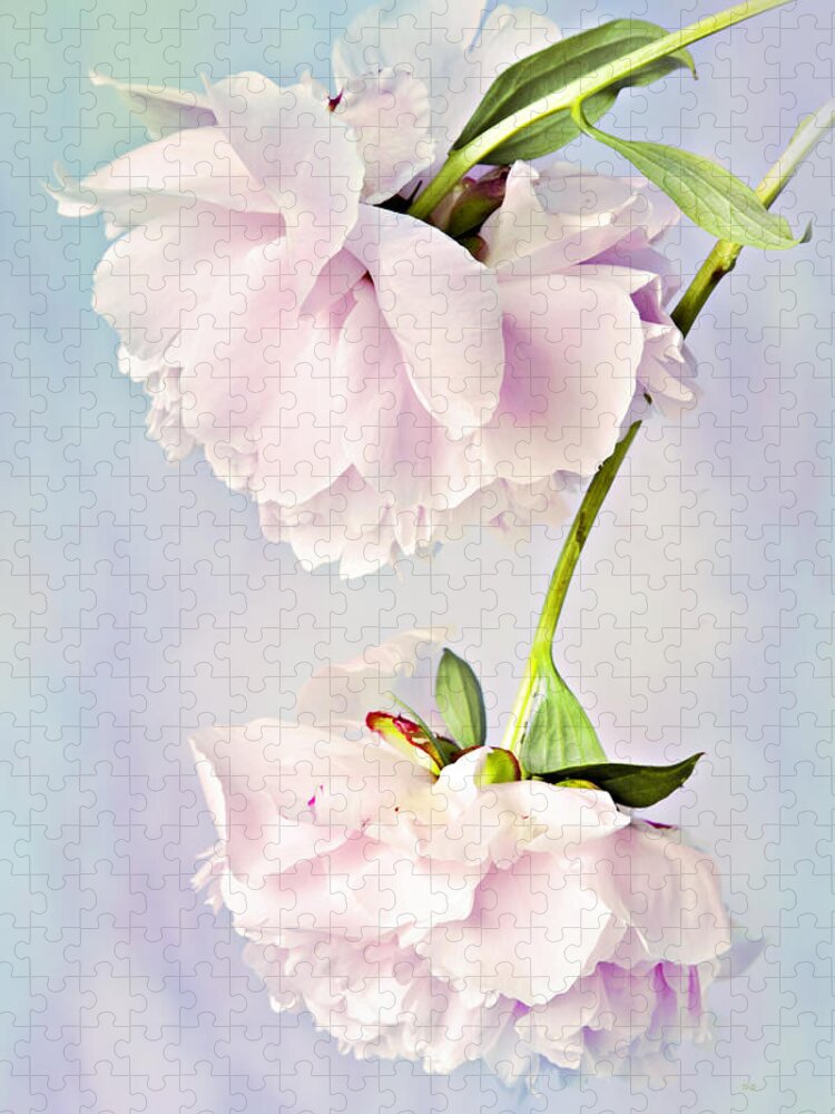 Peonies Jigsaw Puzzle featuring the photograph Pastel Peonies by Theresa Tahara