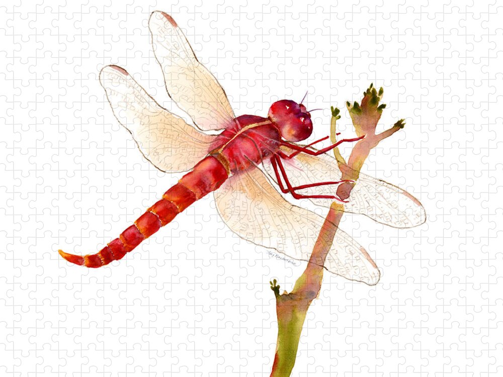 Red Jigsaw Puzzle featuring the painting Red Dragonfly #1 by Amy Kirkpatrick