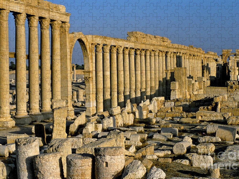 Syria Jigsaw Puzzle featuring the photograph Ruins At Palmyra, Syria #2 by Adam Sylvester
