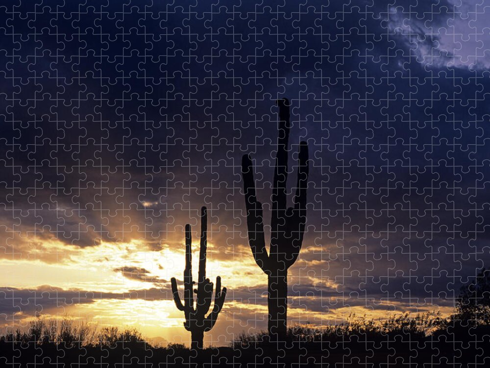 American Southwest Jigsaw Puzzle featuring the photograph Silhouetted saguaro cactus sunset at dusk Arizona State USA #2 by Jim Corwin