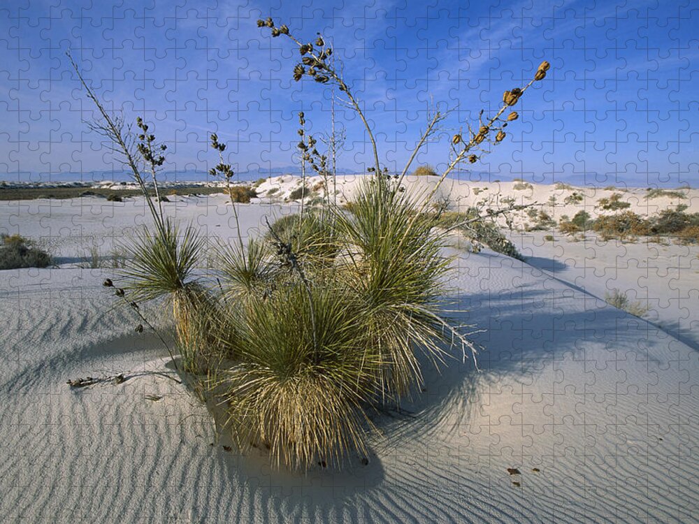 Feb0514 Jigsaw Puzzle featuring the photograph Soaptree Yucca In Gypsum Dunes White #2 by Konrad Wothe