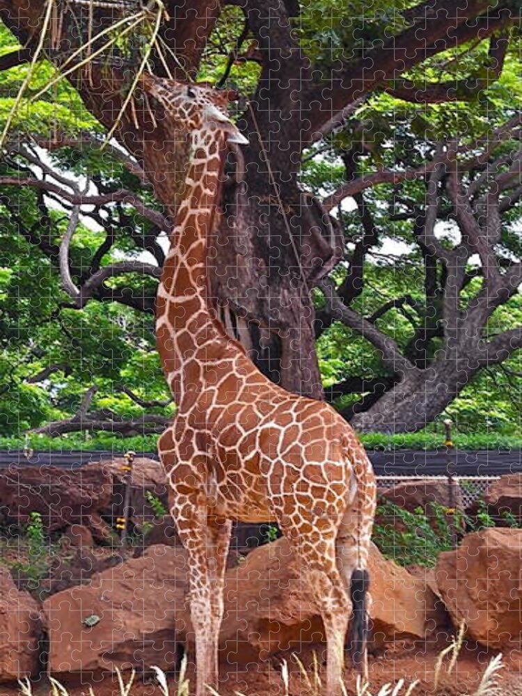 Giraffe Jigsaw Puzzle featuring the photograph Stretching It #2 by Michele Myers