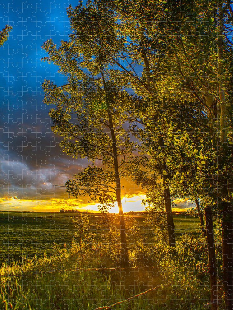 Sunset Jigsaw Puzzle featuring the photograph Sunset #2 by Thomas Nay