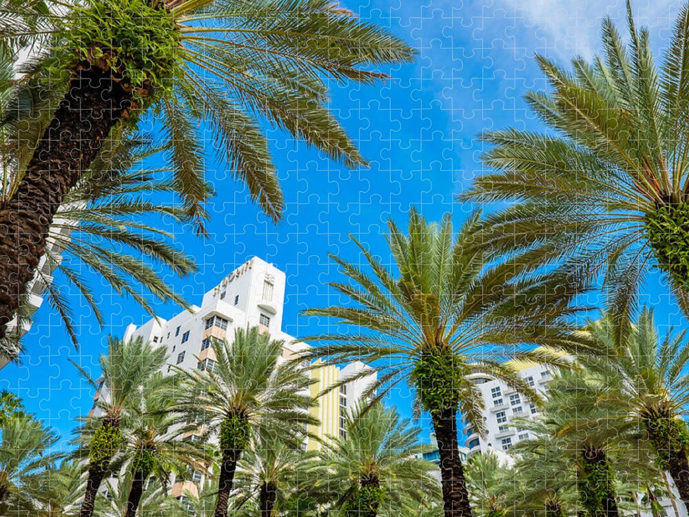 Architecture Jigsaw Puzzle featuring the photograph Miami Beach #28 by Raul Rodriguez
