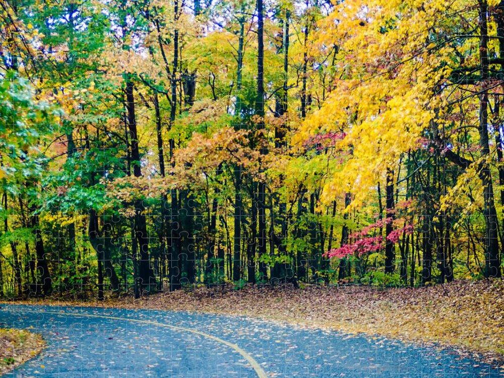 Autumn Jigsaw Puzzle featuring the photograph Autumn Country Road #3 by Alex Grichenko