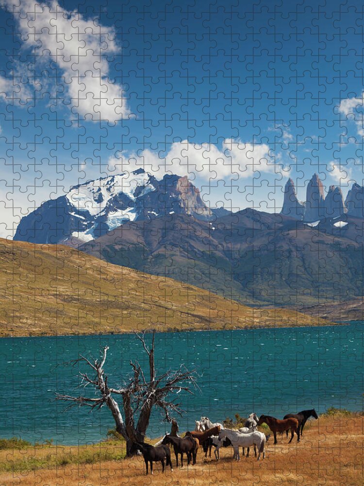Horse Jigsaw Puzzle featuring the photograph Chile, Torres Del Paine National Park #3 by Walter Bibikow
