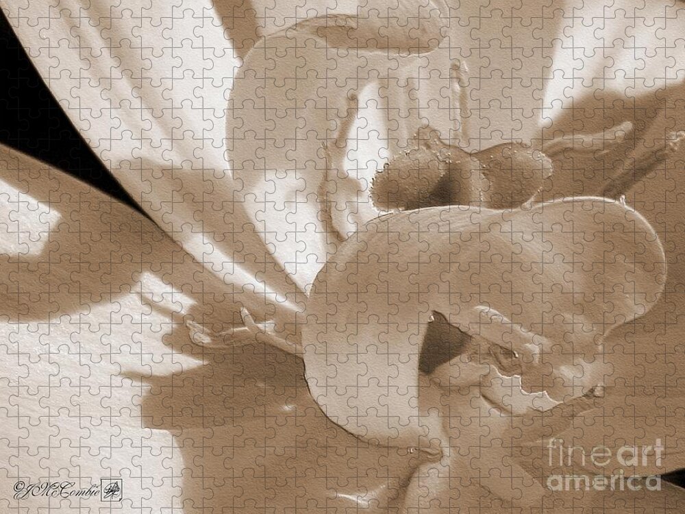 Double Late Tulip Jigsaw Puzzle featuring the photograph Double Late Tulip named Angelique #3 by J McCombie
