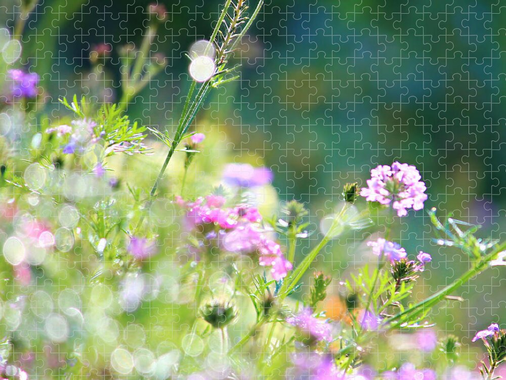 Summer Jigsaw Puzzle featuring the photograph Summer meadow #3 by Heike Hultsch