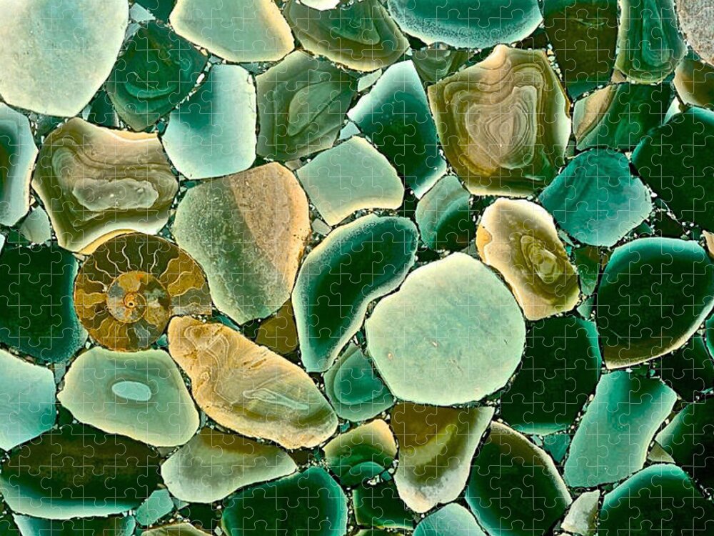 Ammonite Jigsaw Puzzle featuring the photograph Ammonite Fossil With Green Pebbles by Debra Amerson