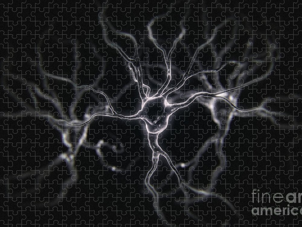 Digitally Generated Image Jigsaw Puzzle featuring the photograph Neurons #34 by Science Picture Co