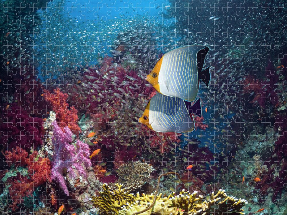 Tranquility Jigsaw Puzzle featuring the photograph Coral Reef Scenery #36 by Georgette Douwma