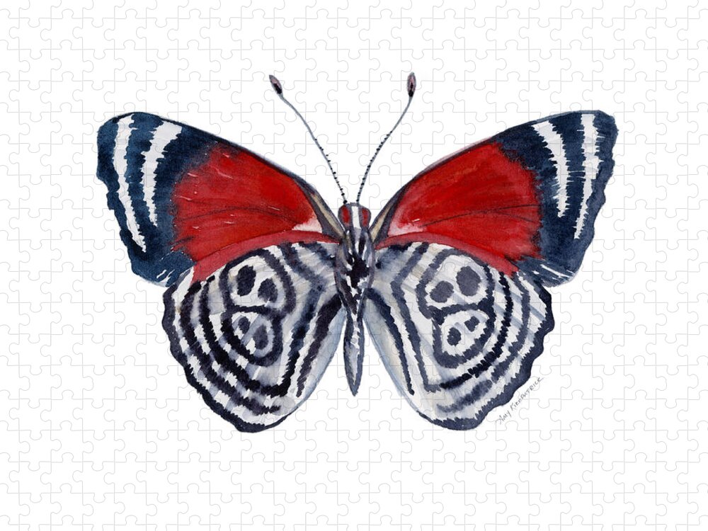 Diathria Jigsaw Puzzle featuring the painting 37 Diathria Clymena Butterfly by Amy Kirkpatrick