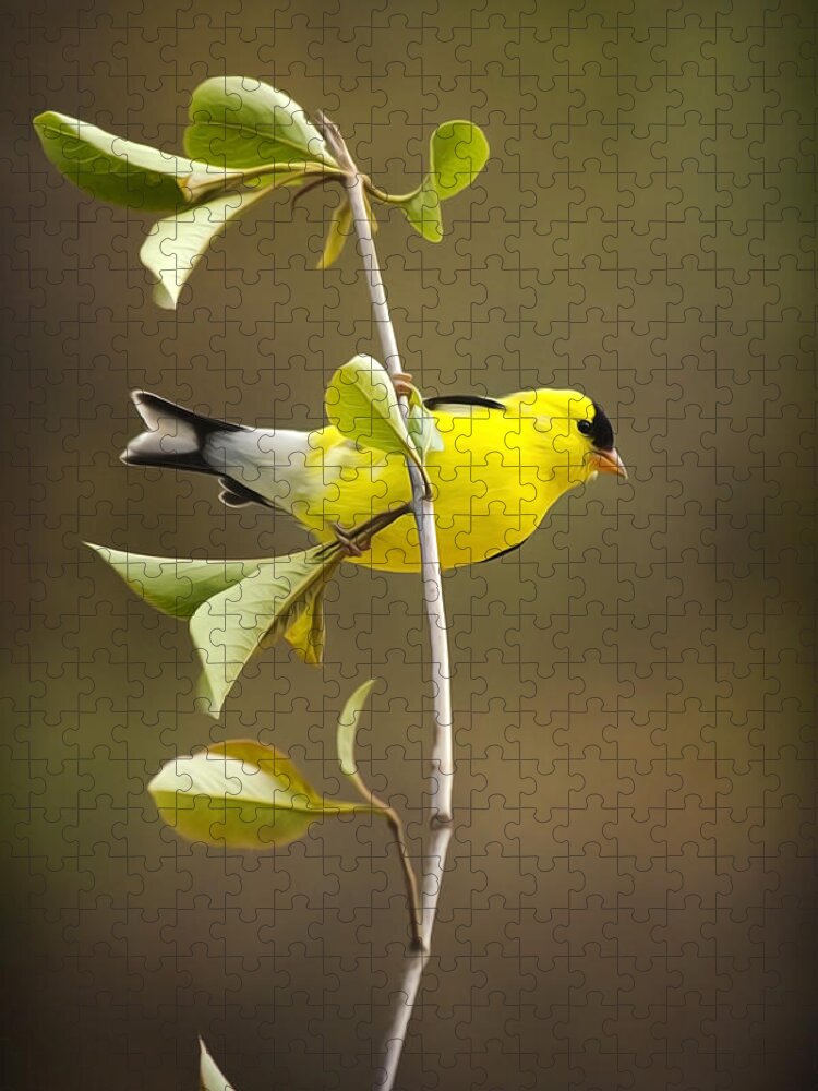 Goldfinch Jigsaw Puzzle featuring the painting American Goldfinch by Christina Rollo