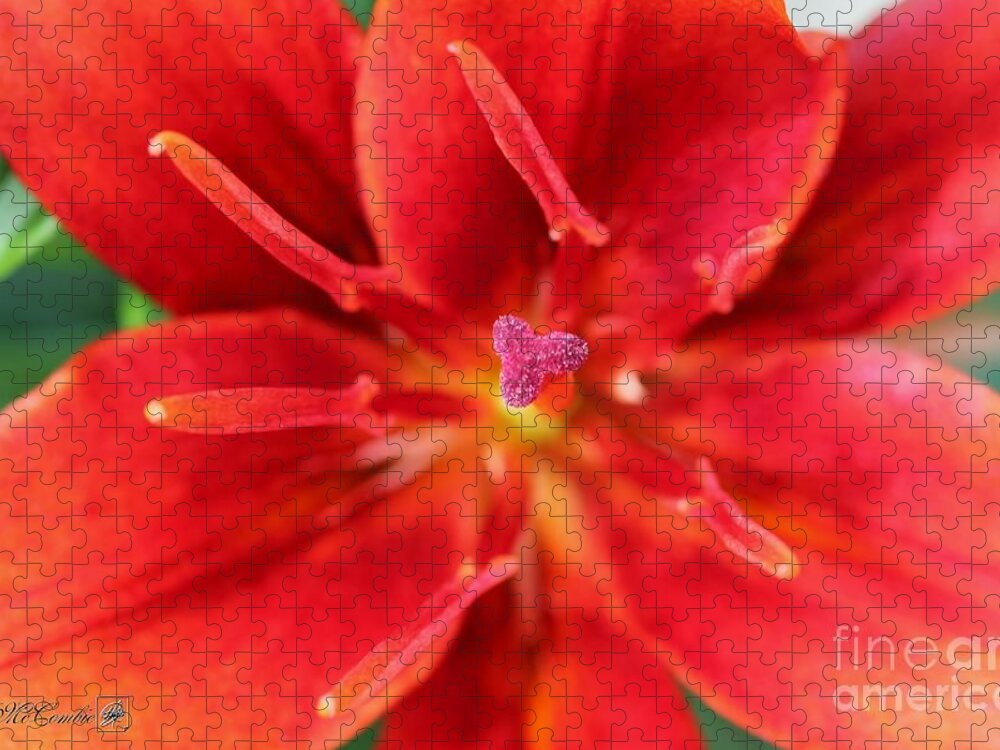 Mccombie Jigsaw Puzzle featuring the photograph Asiatic Lily named Red Twin #3 by J McCombie