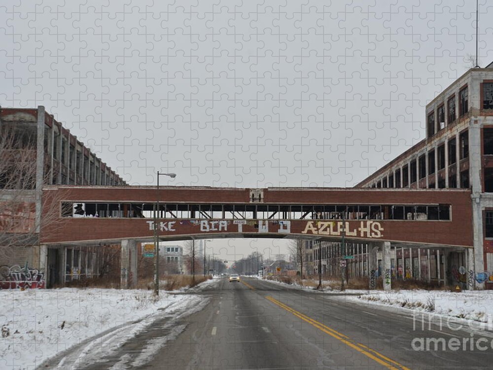 Detroit Jigsaw Puzzle featuring the photograph Detroit Packard Plant #4 by Randy J Heath