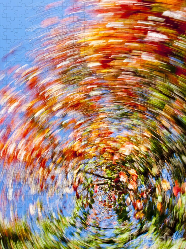 Autumn Jigsaw Puzzle featuring the photograph Fall Abstract #4 by Steven Ralser