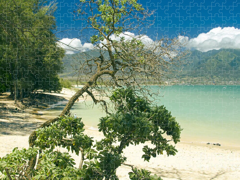 Kanaha Beach Jigsaw Puzzle featuring the photograph Kanaha Beach Maui Hawaii #2 by Sharon Mau