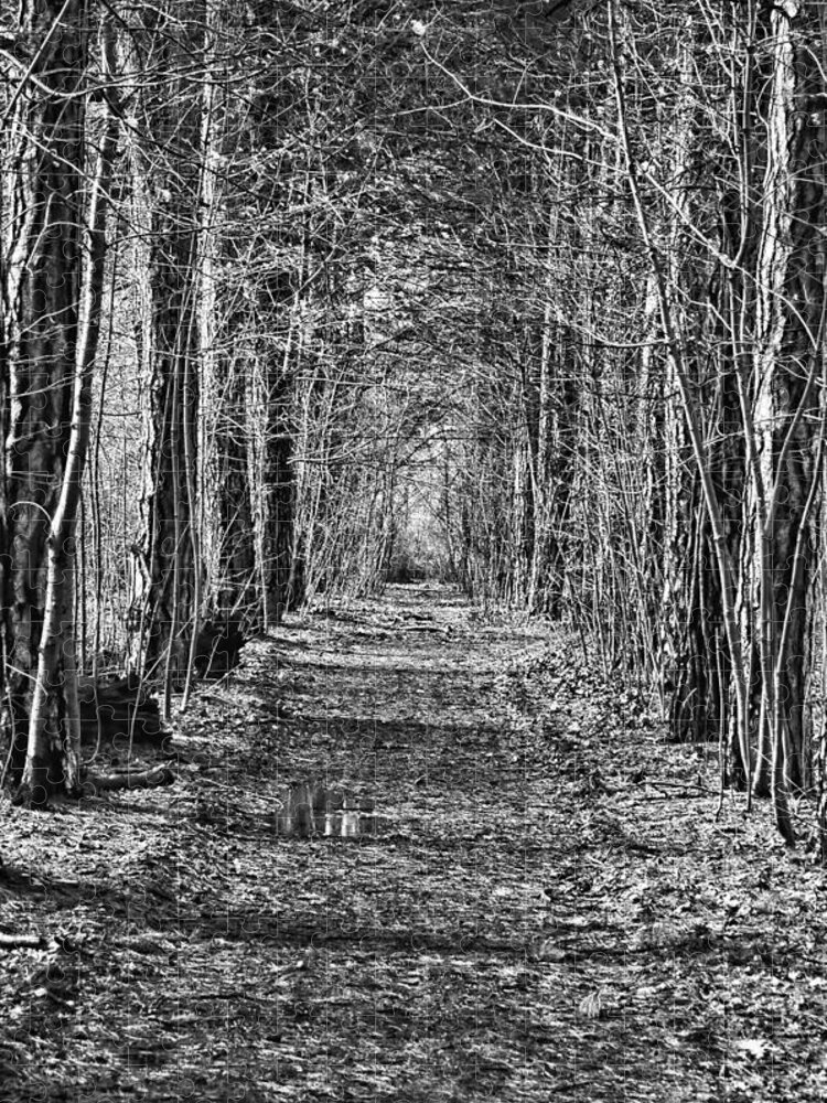 Path Jigsaw Puzzle featuring the photograph Pathway by David Armstrong