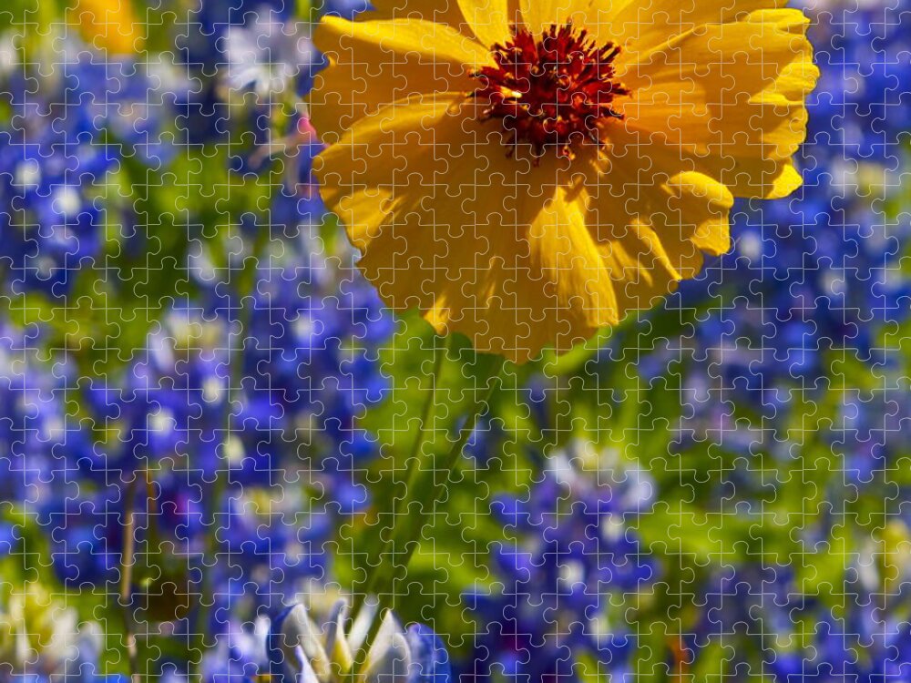 Wildflower Jigsaw Puzzle featuring the photograph Wildflowers #4 by John Babis