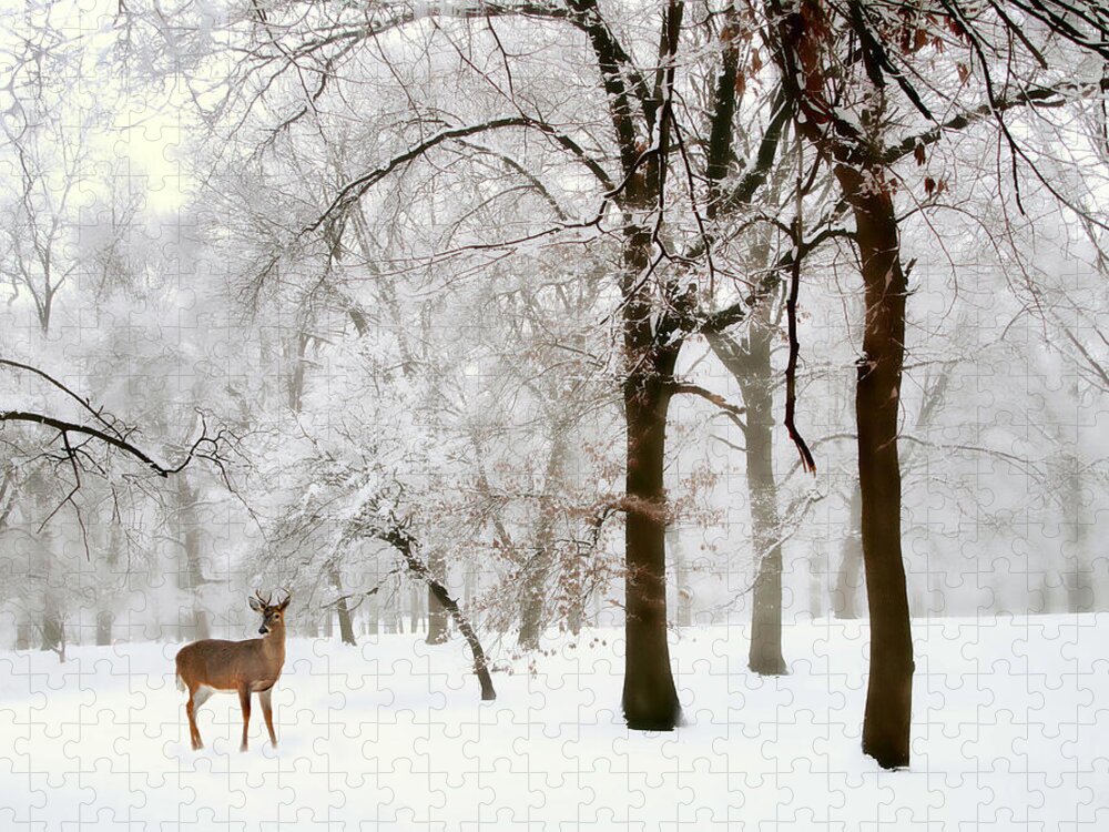 Winter Jigsaw Puzzle featuring the photograph Winter's Breath by Jessica Jenney
