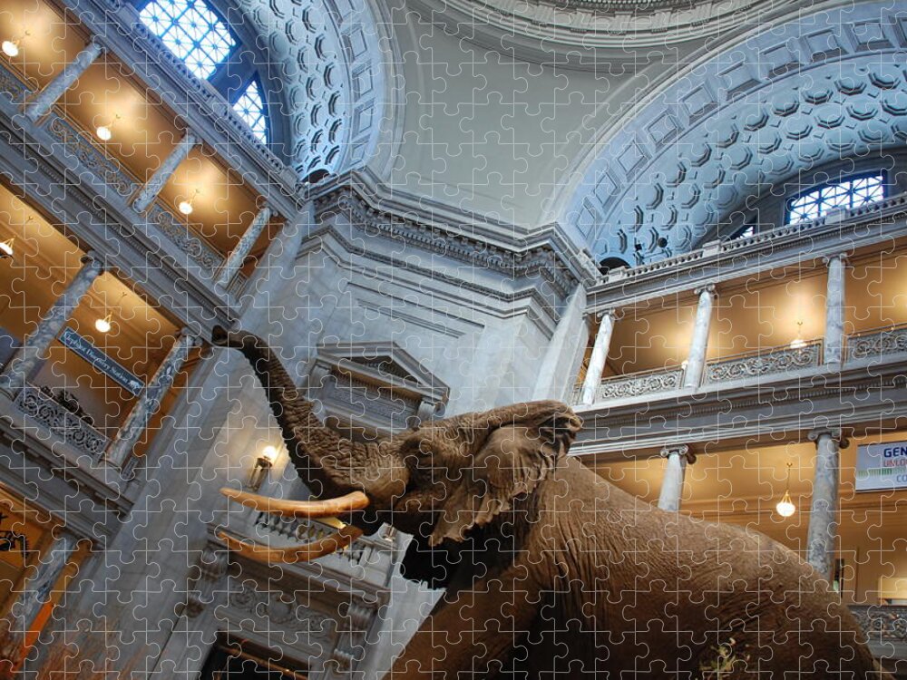 Bull Elephant Jigsaw Puzzle featuring the photograph Bull Elephant in Natural History Rotunda by Kenny Glover