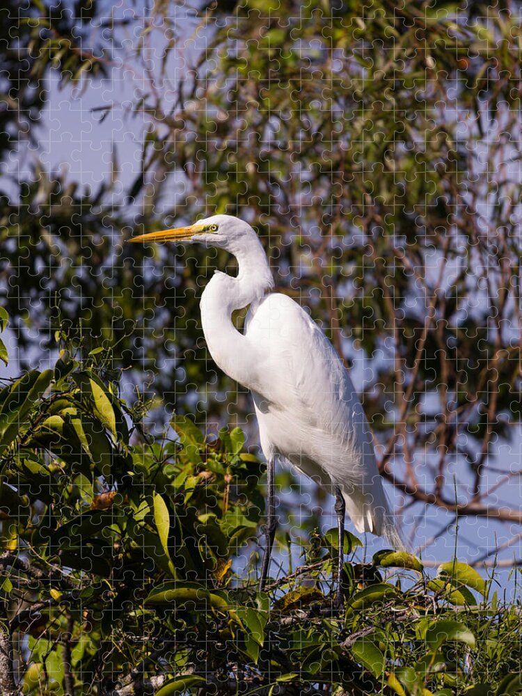 Egret Jigsaw Puzzle featuring the photograph Great White Egret #5 by Raul Rodriguez