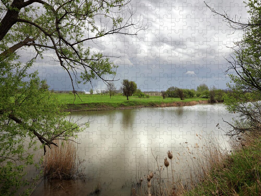 Water's Edge Jigsaw Puzzle featuring the photograph Landscape #5 by Savushkin