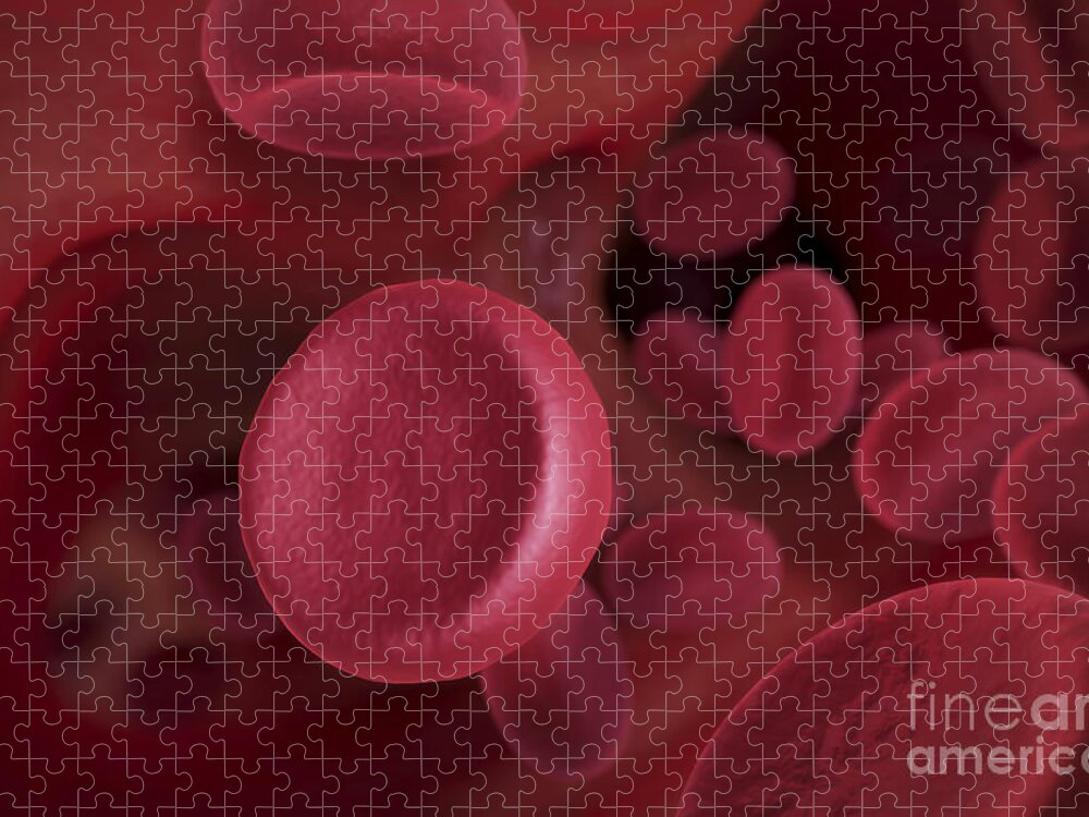 Cell Jigsaw Puzzle featuring the photograph Red Blood Cells #9 by Science Picture Co