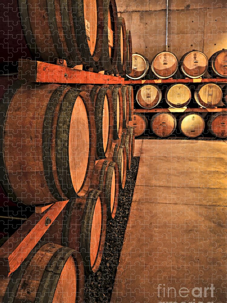 Barrels Jigsaw Puzzle featuring the photograph Wine barrels 4 by Elena Elisseeva