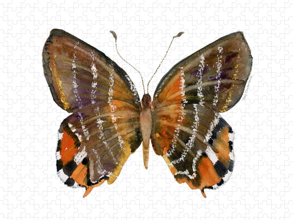 Euselasia Butterfly Jigsaw Puzzle featuring the painting 60 Euselasia Butterfly by Amy Kirkpatrick