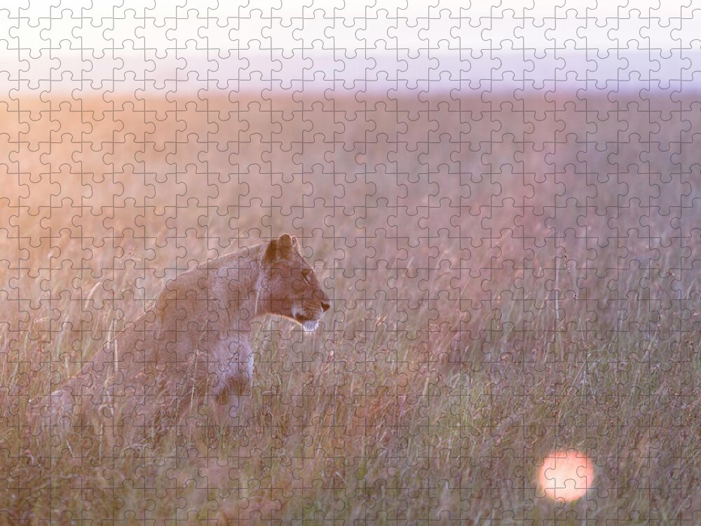 Kenya Jigsaw Puzzle featuring the photograph Masai Mara Reserve, Kenya #7 by Gavin Gough