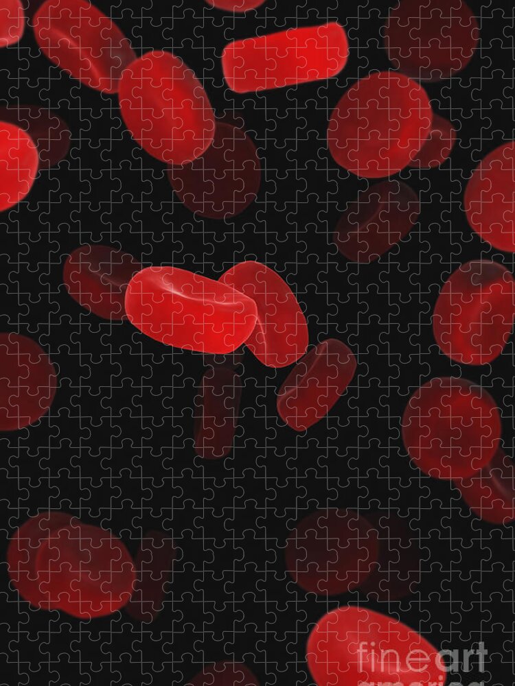 Cells Jigsaw Puzzle featuring the photograph Red Blood Cells #8 by Science Picture Co