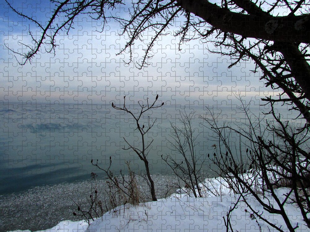 Lake Jigsaw Puzzle featuring the photograph A Blue with a View by Kimberly Mackowski