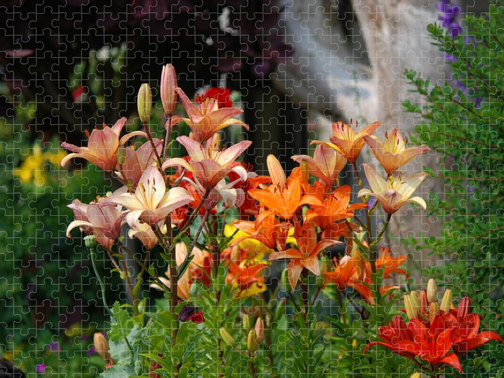 Lillies Jigsaw Puzzle featuring the photograph A Garden of Lillys for Susan by Kathy Paynter