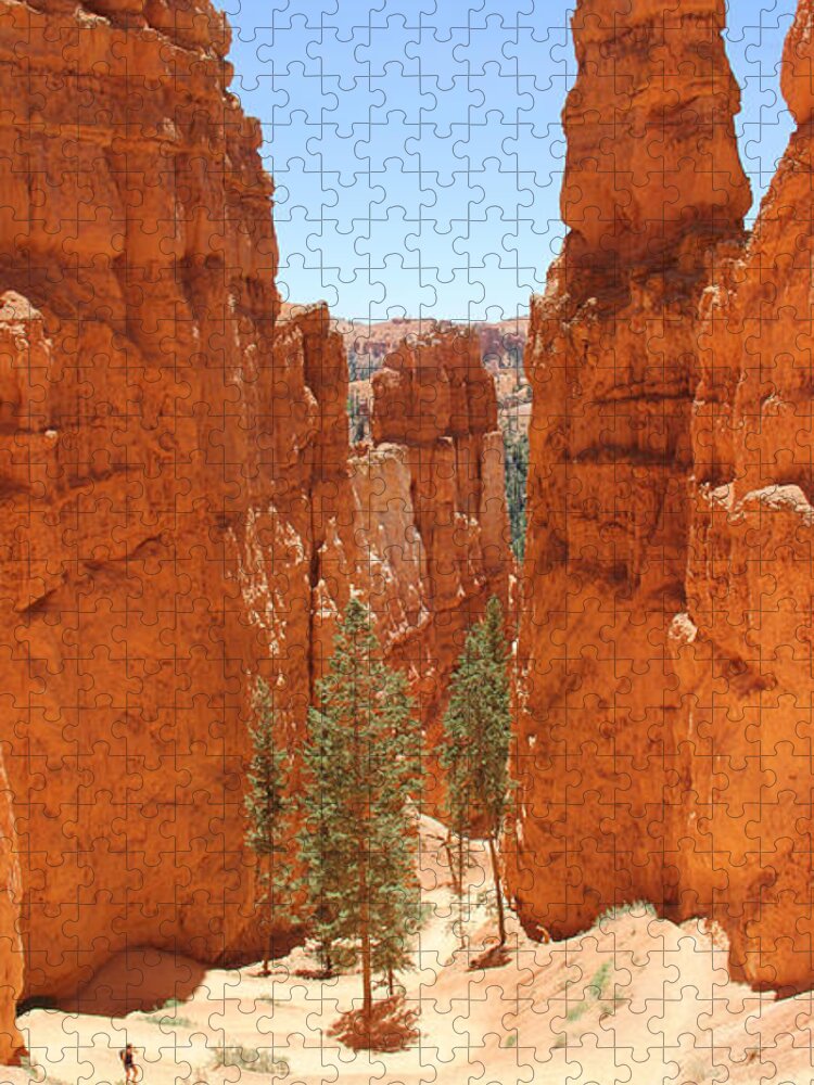 Southwest Jigsaw Puzzle featuring the photograph A Long Way to the Top by Mike McGlothlen