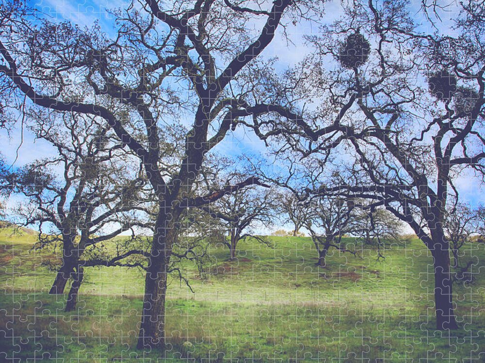 Sunol Ohlone Wilderness Jigsaw Puzzle featuring the photograph A Meeting of Men by Laurie Search