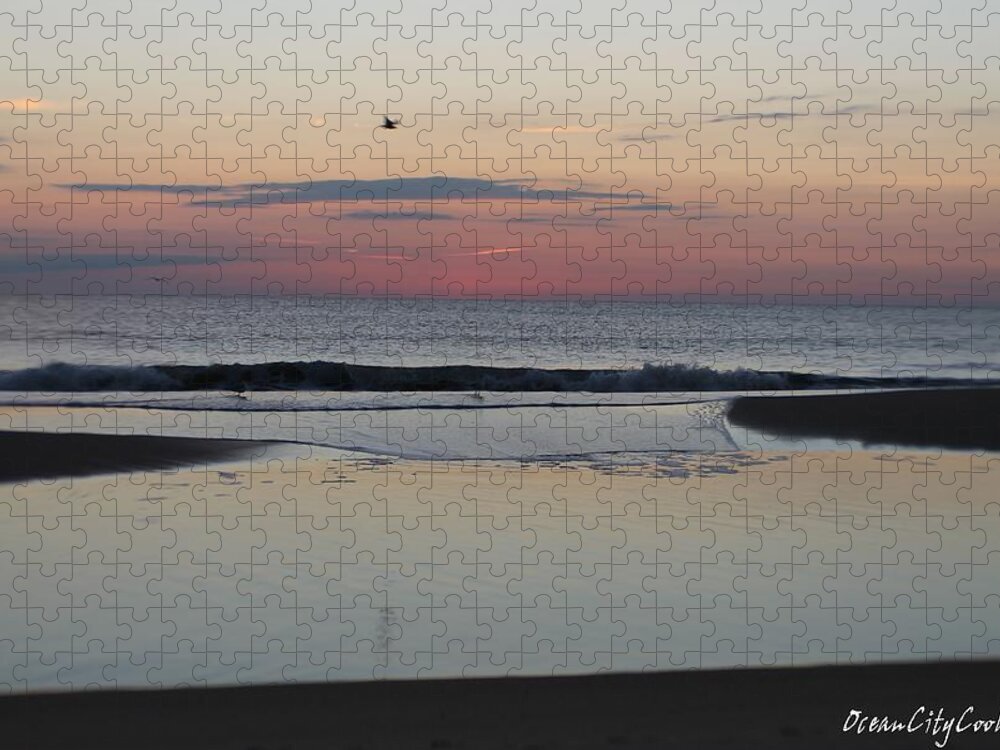 Fauna Jigsaw Puzzle featuring the photograph A One Seagull Sunrise by Robert Banach